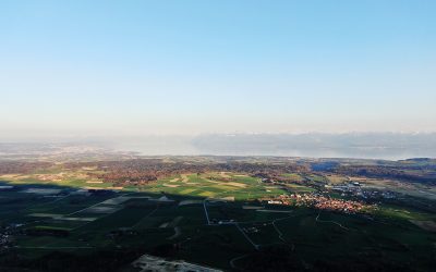 Duis aute irure dolor